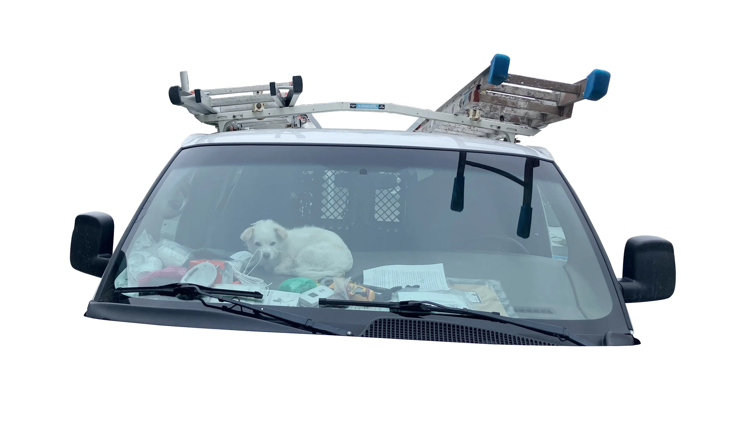 Dogs in Cars 2026 Seward