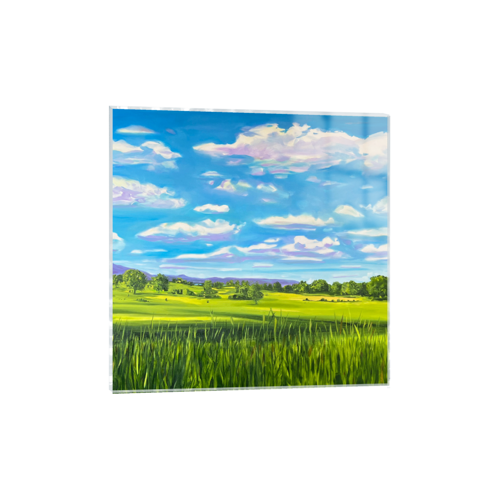 ptq_17_0_1800_0_7200_7200_0_false_ffffff_0_0_.png