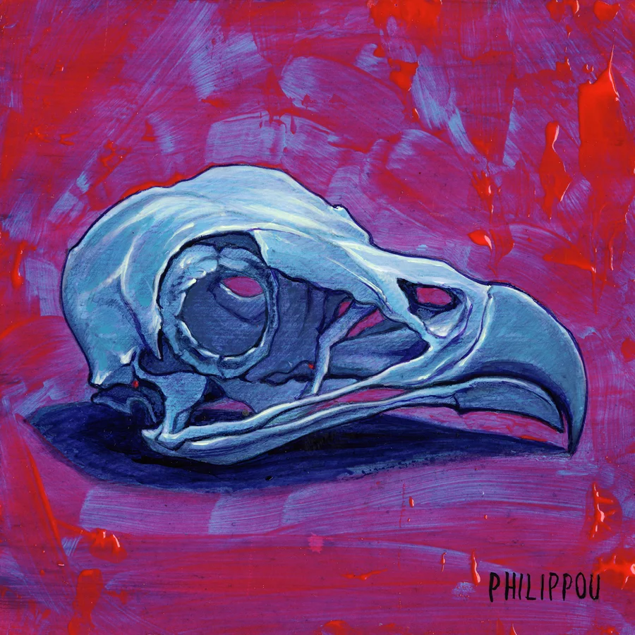 OSPREY SKULL
