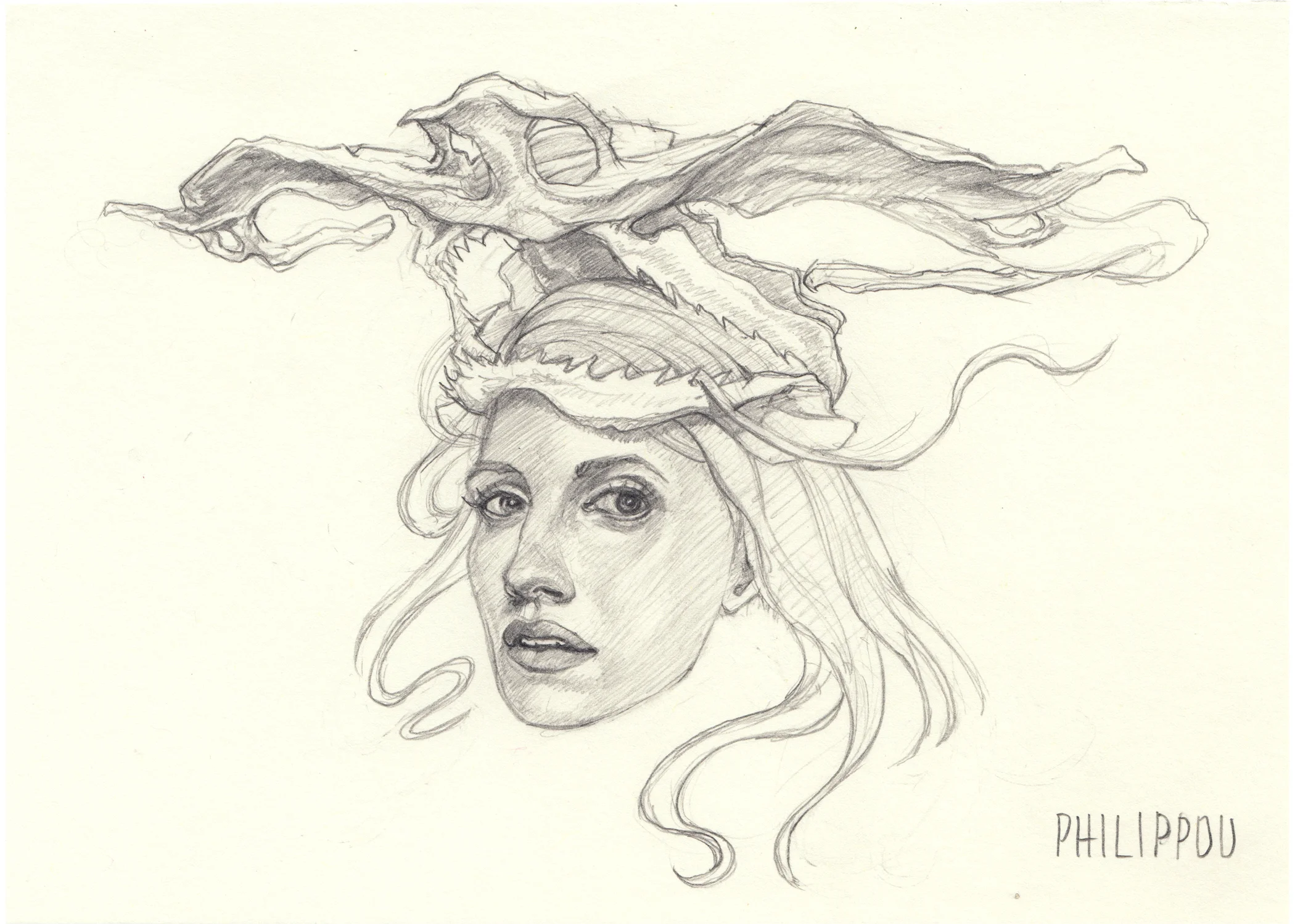 KALEIDOSKULL HAMMERHEAD SHARK STUDY
