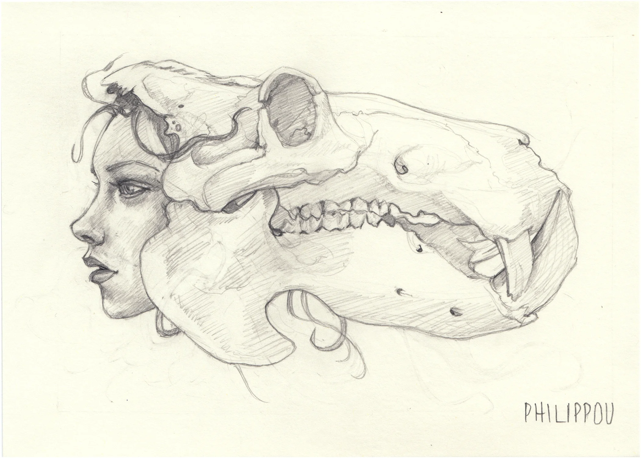 KALEIDOSKULL HIPPO STUDY