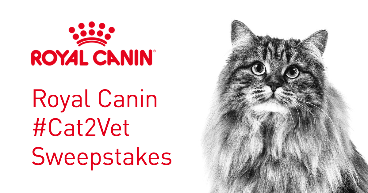 Royal Canin Social Share Out 1200x630 Final.png