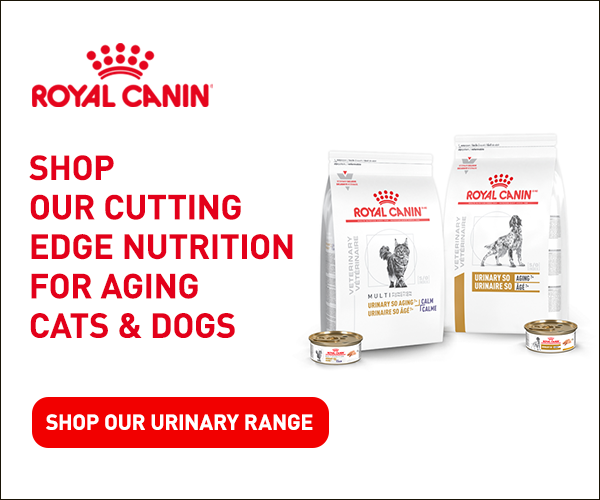 Royal Canin Urinary 300x250 High Res.png