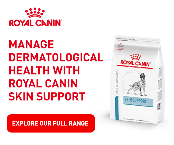 Royal Canin Derm Static Banner 300x250 Higher Res.png