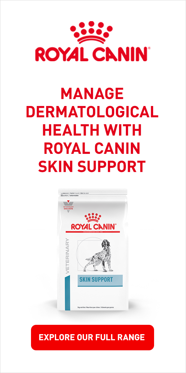 Royal Canin Derm Static Banner 300x600 Higher Res.png
