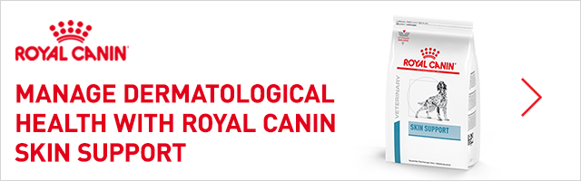 Royal Canin Derm Static Banner 320x100 Higher Res.png