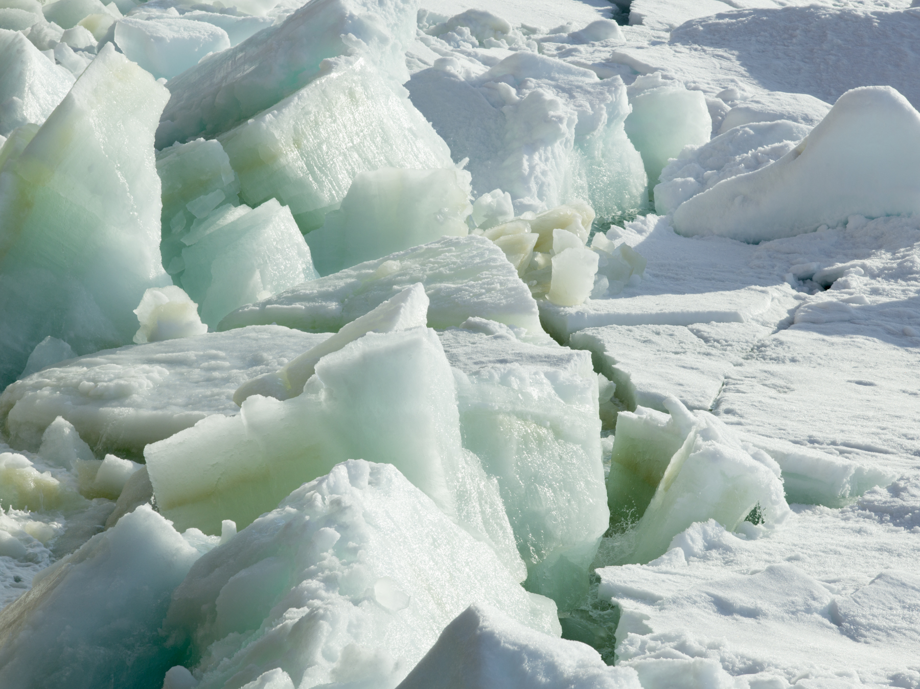 Themes and Variations, Arctic Ocean, 84 degrees N