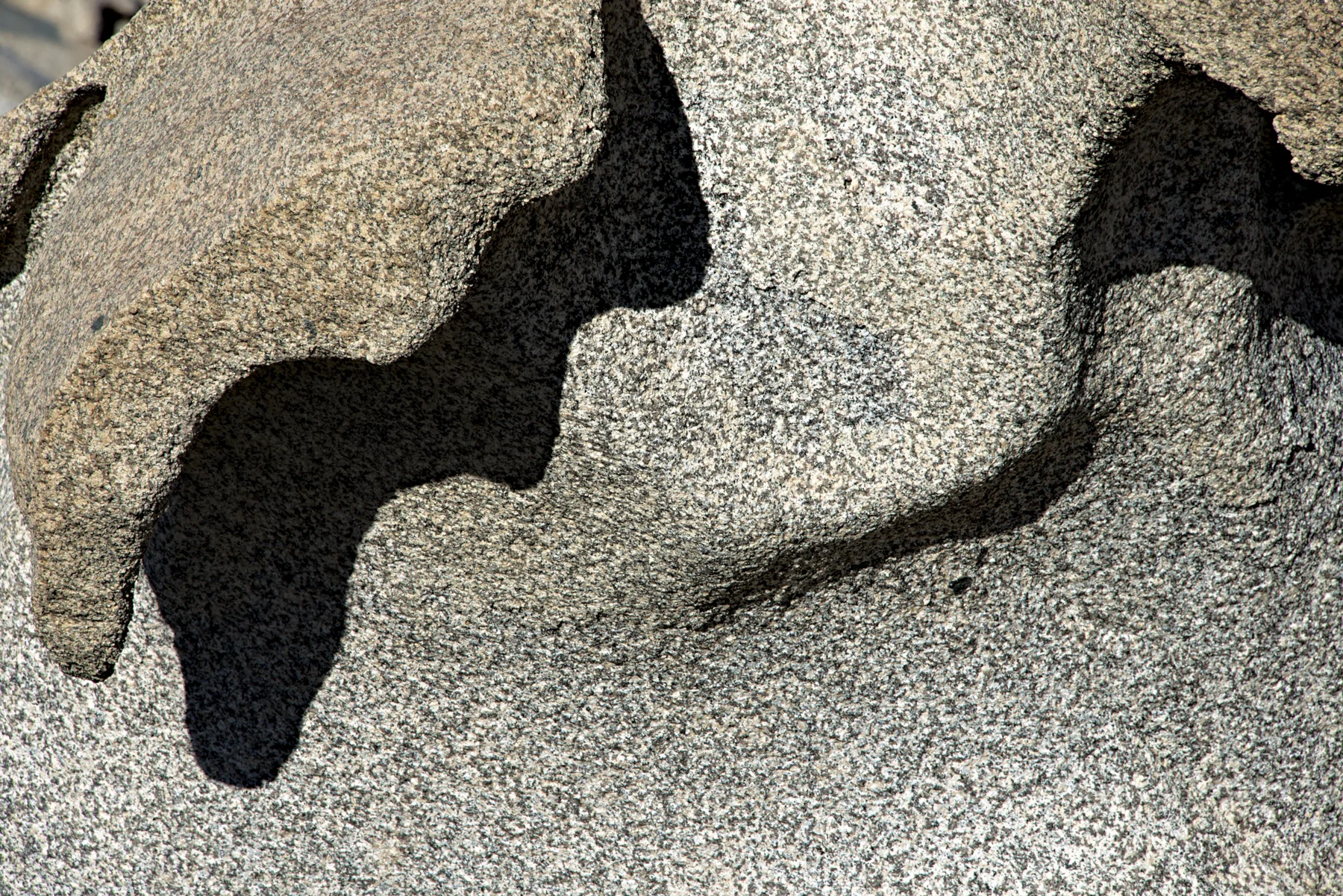 Zeolitised Dolerite Ventifact, Bull Pass