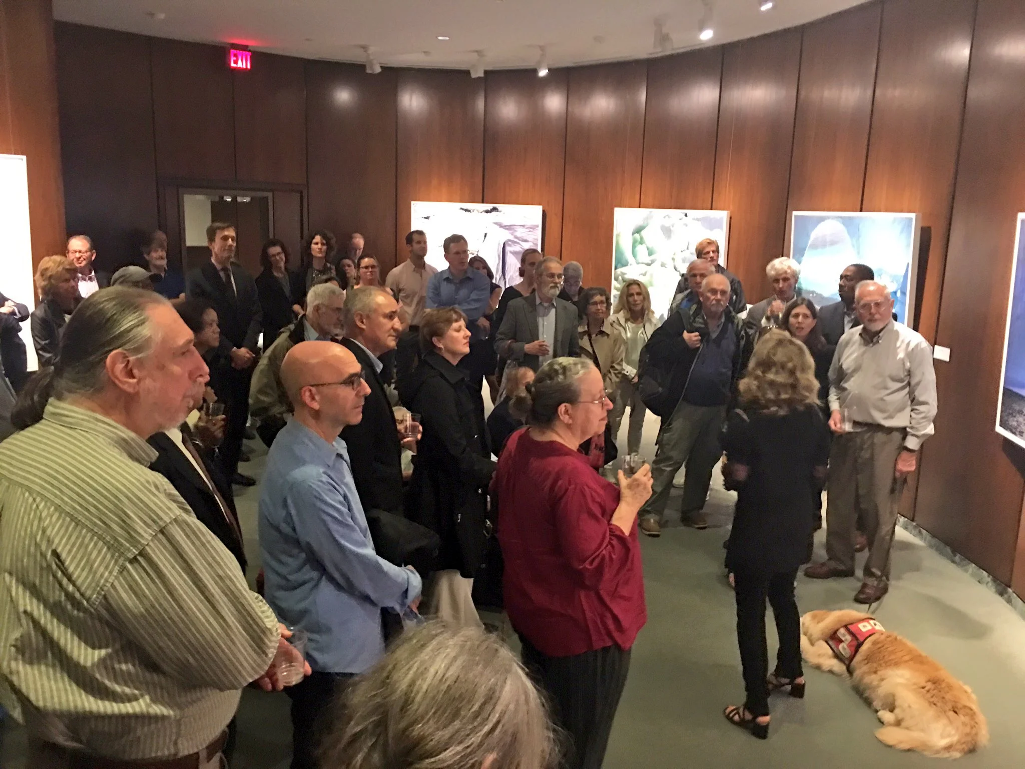 The Arctic Melt in Washington, D.C.