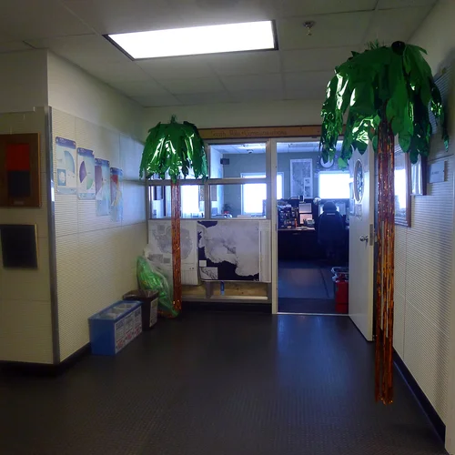 A little tropical fantasy