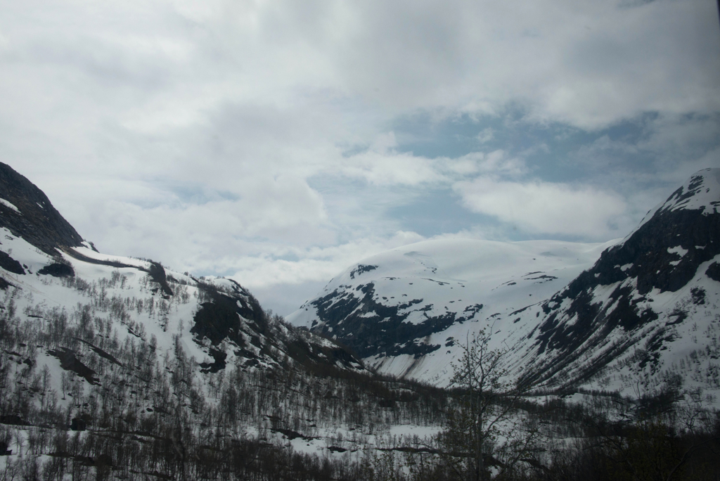 23f19b496c6b8d69-Ny-Alesund_day714150613.jpg