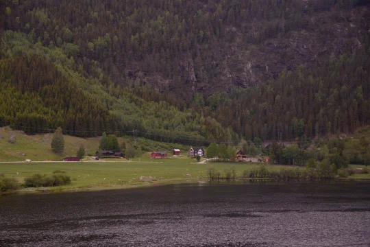 Train from Oslo to Bergen.