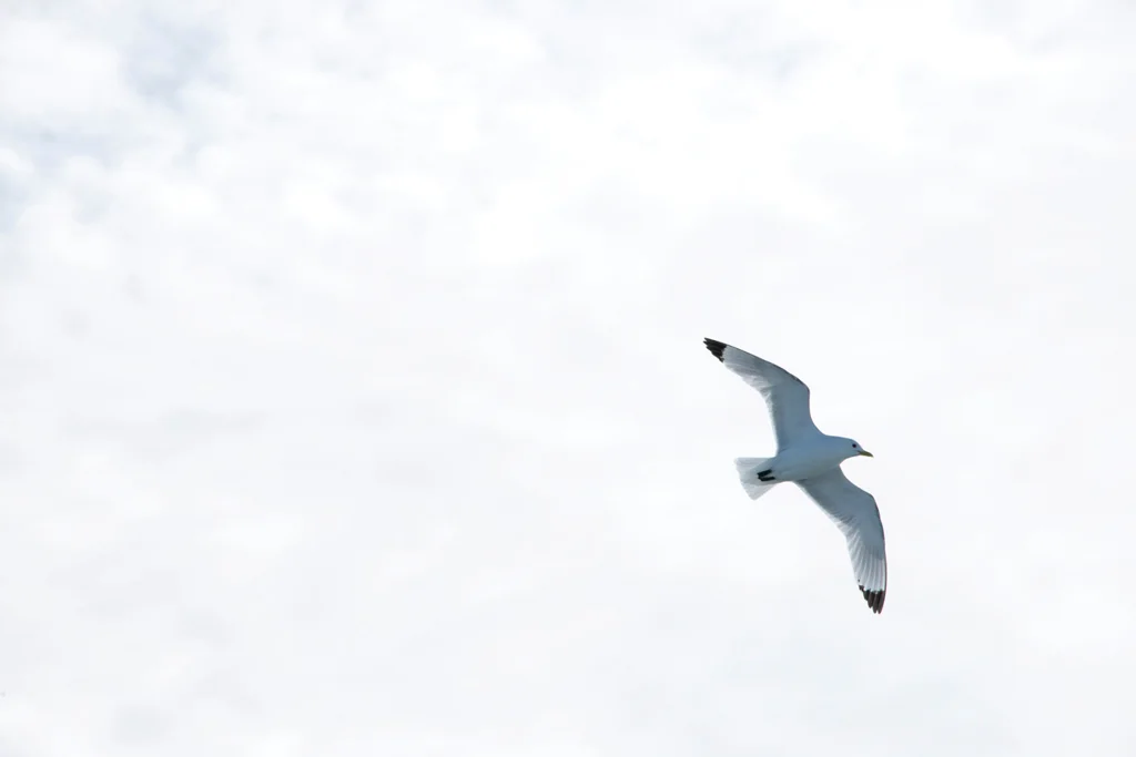 19a17579a7ea5055-_DSC5966.jpg
