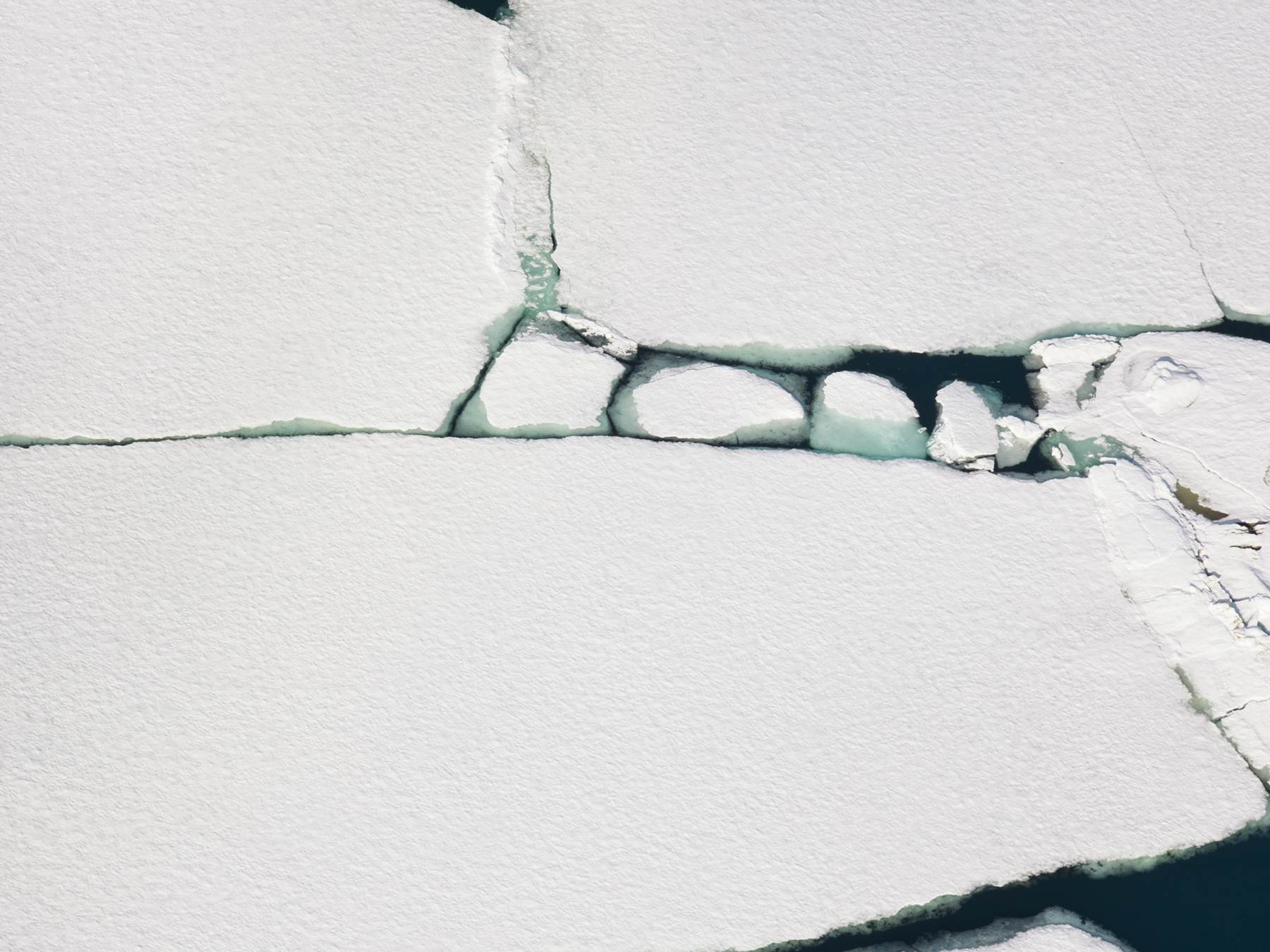 DTUFT_TheArcticMelt_2015_Relics.jpg