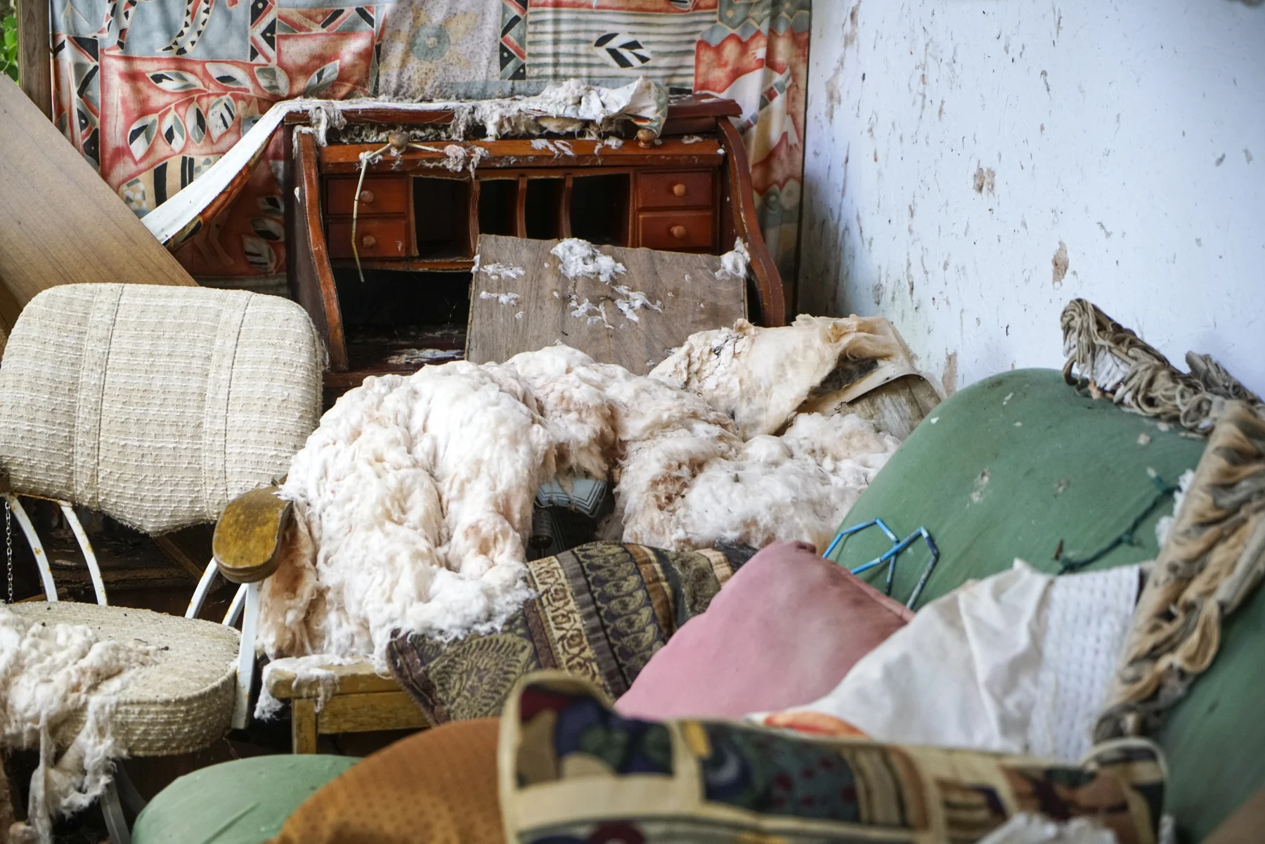 The small guesthouse on the property remained untouched. Insulation was ripped from the walls and water-soaked furniture remained.