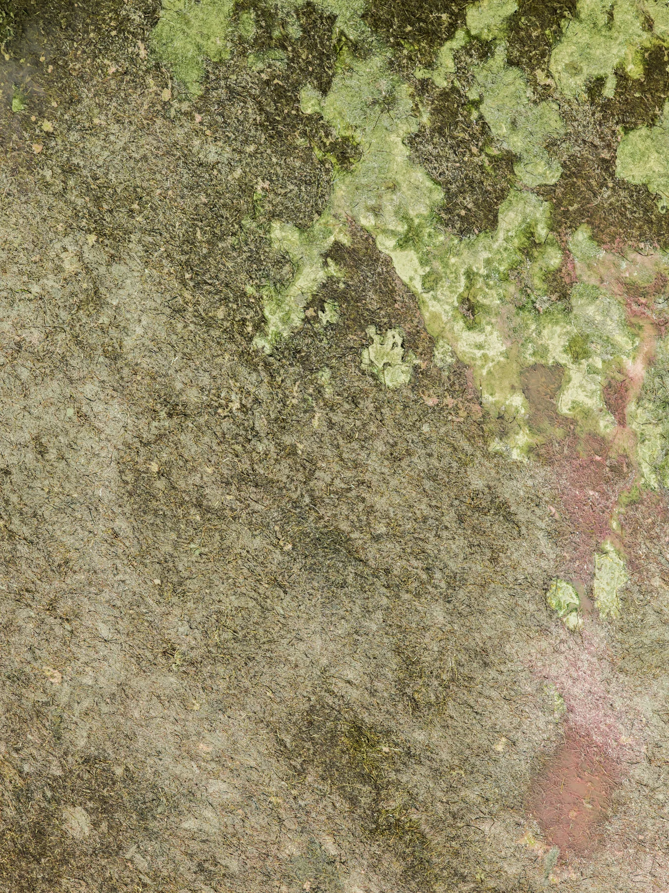 14_TUFT_B0002494.jpg