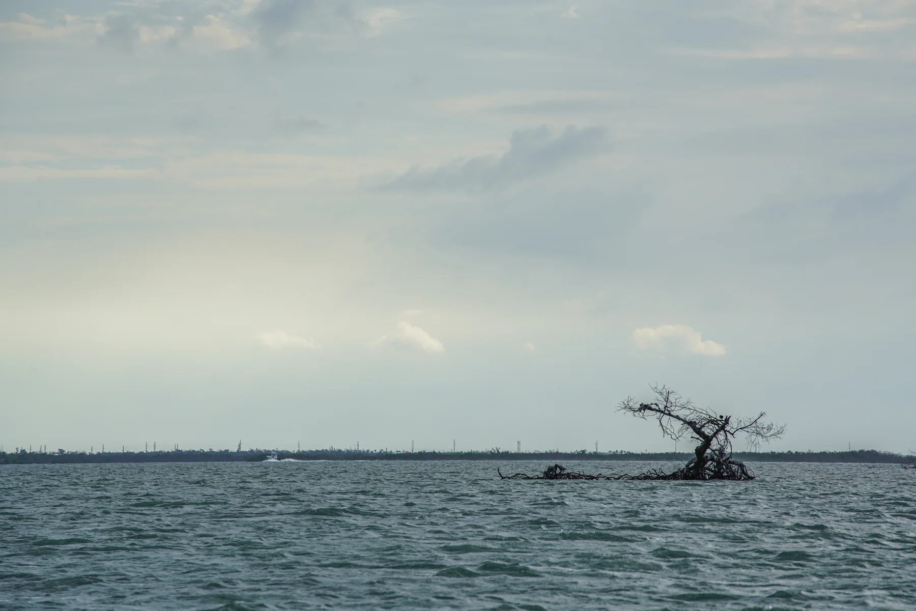 Part I - The Florida Keys: After Irma