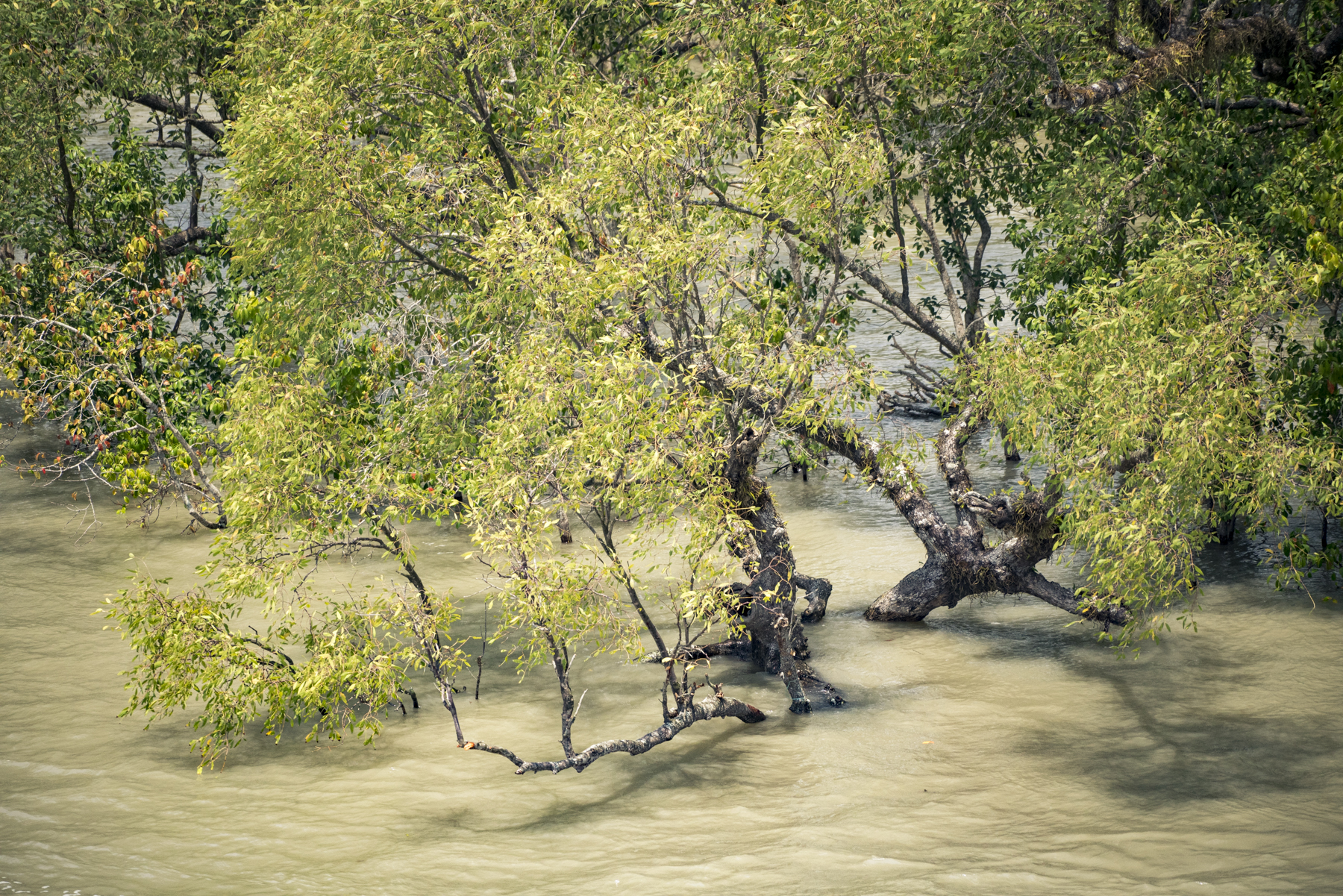 12__DSC5695_1800px.jpg