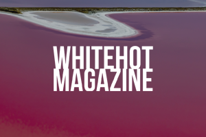 Whitehot Magazine: Exhibition Review - 'Tracing How Matter Retains Memory — The Art of Allyson Jeong and Diane Tuft'