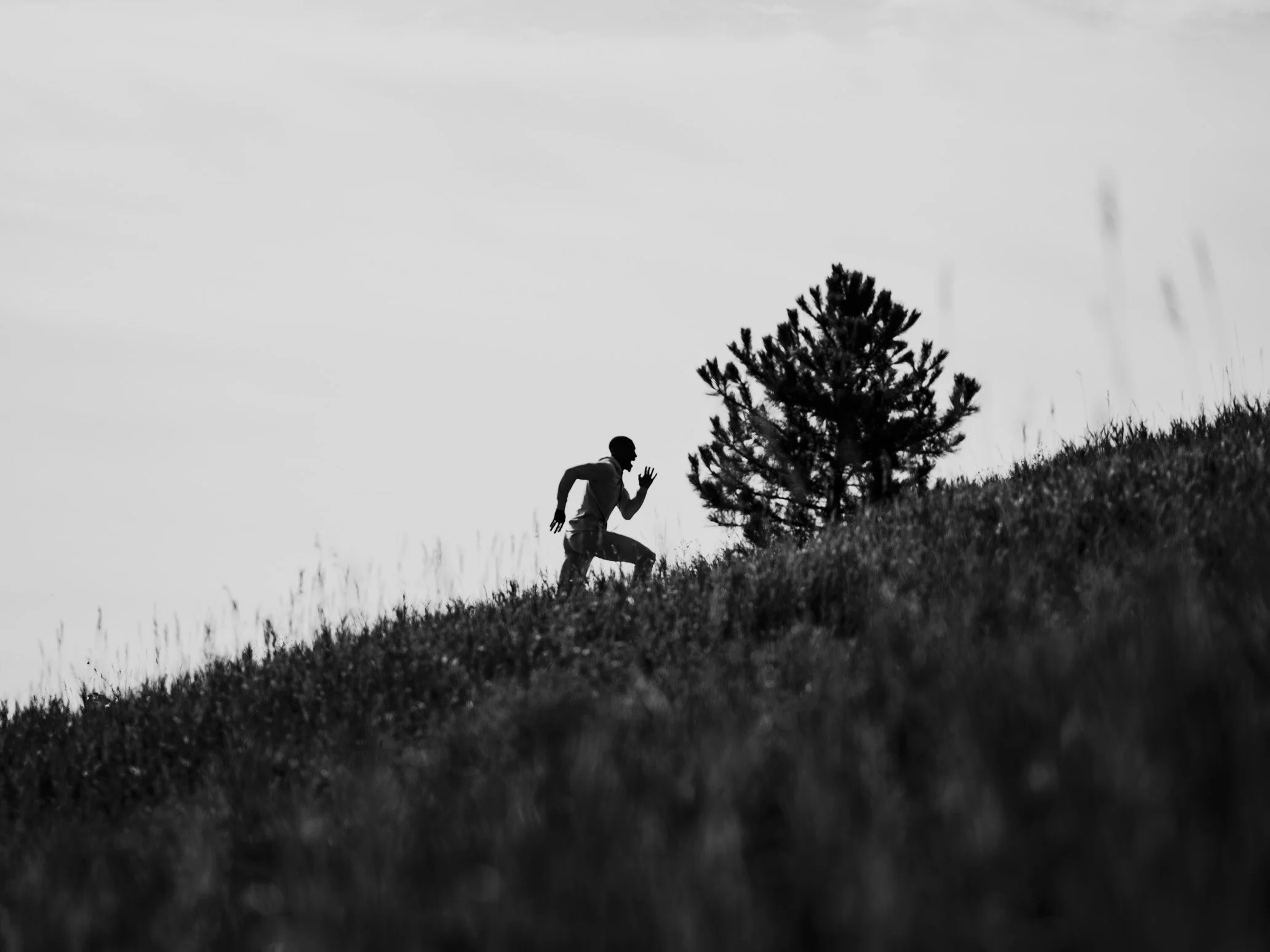 ReigningChamp2 copy.JPG