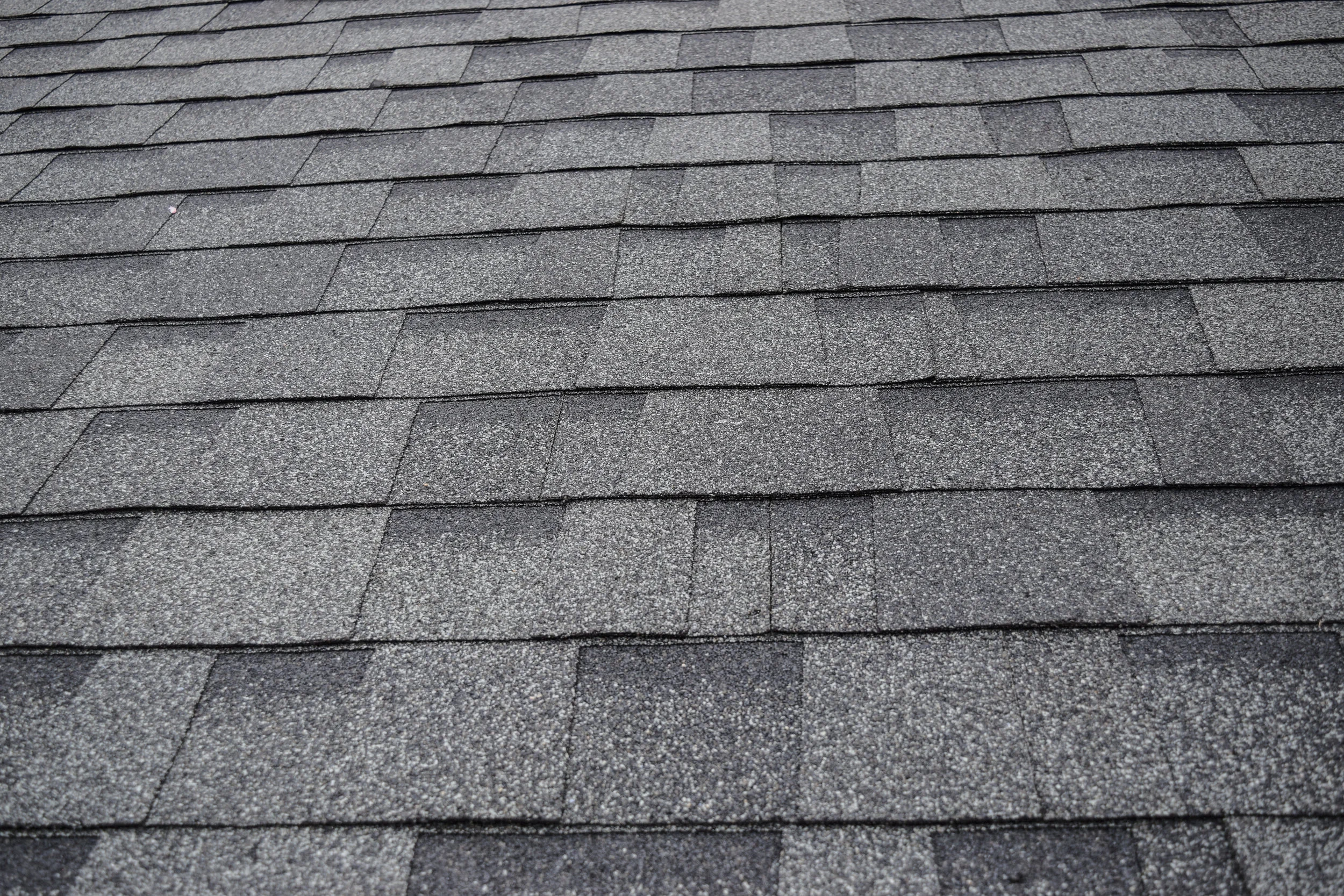 shingles for website.jpg
