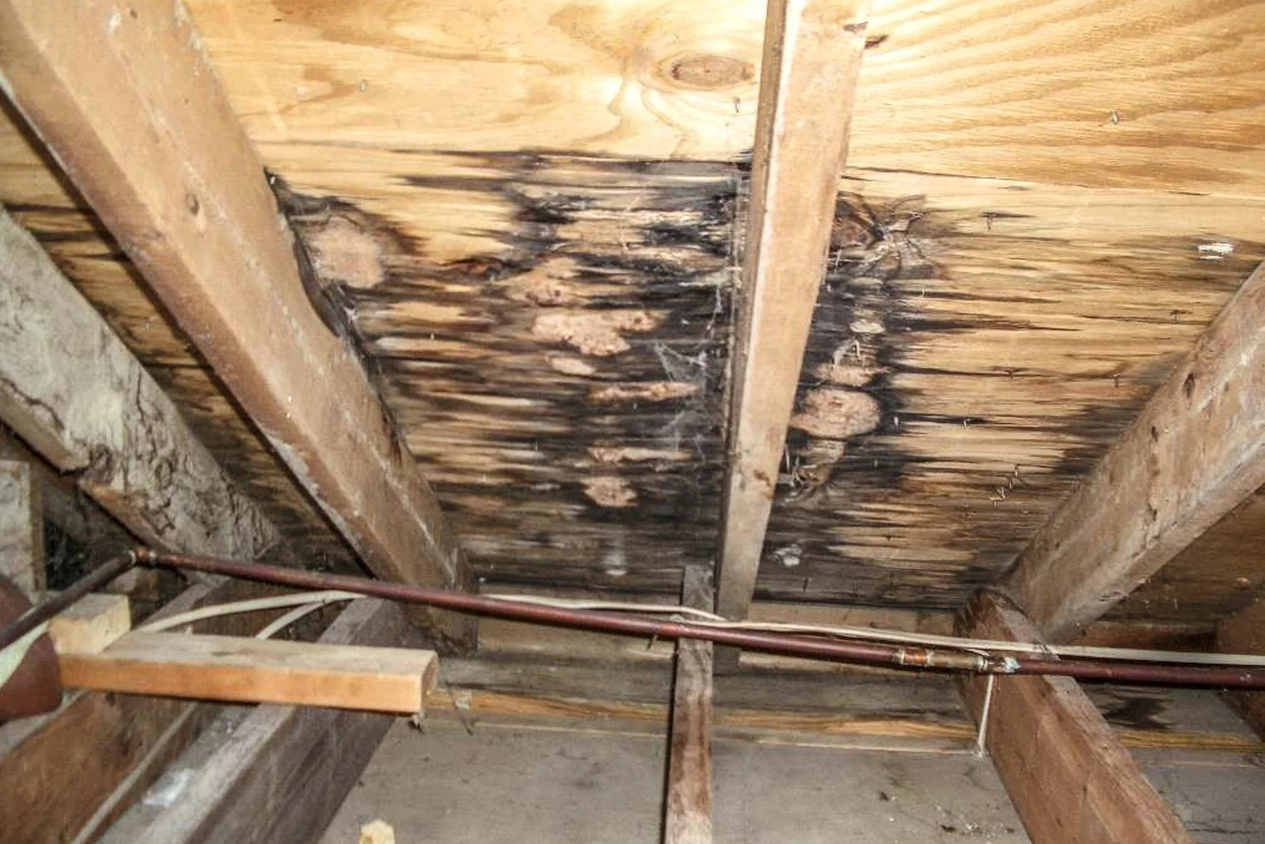roof inspection image.jpg