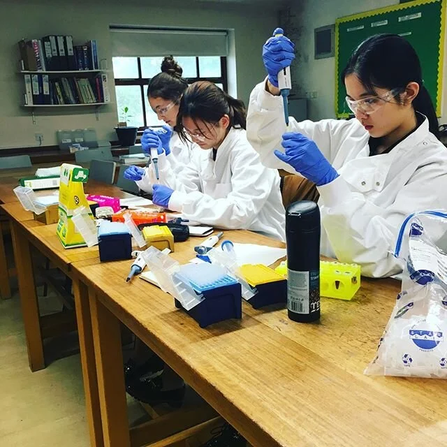 Fantastic workshop yesterday at Farlington School #science #biolabskills #biology #stem #stemeducation #training