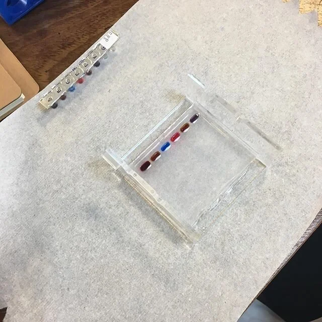 Great workshop at Roedean School last week! #science #training #stemeducation #stem #roedean #roedeanschool #biology #biolabskills