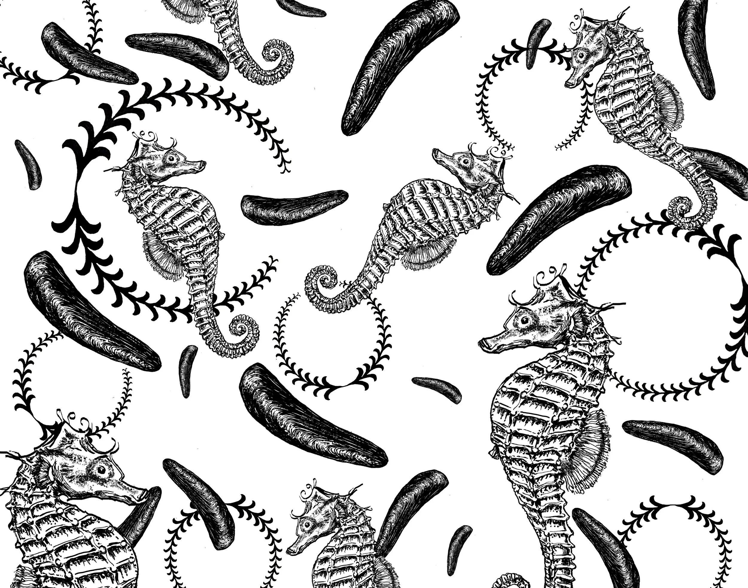 HORNER_TOSSED1_FLAT copy.jpg