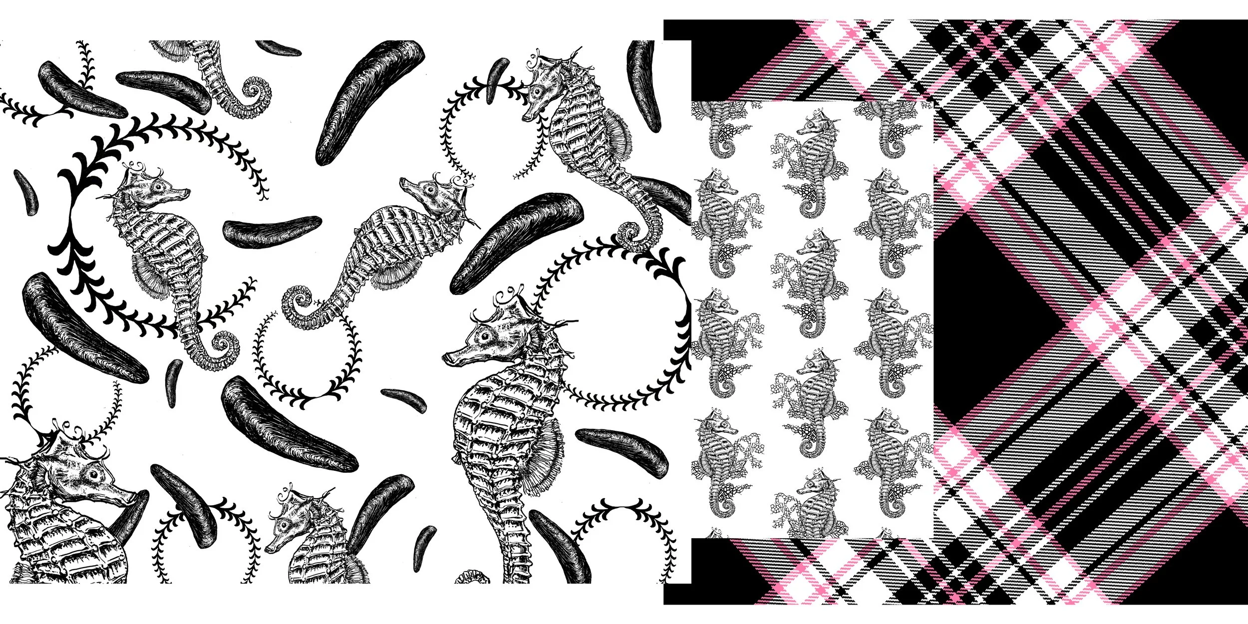 Seahorse Layout-01-01.jpg