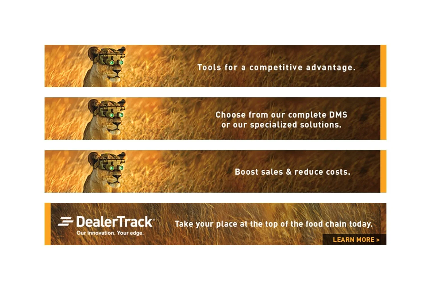 ca_lion_banners.jpg