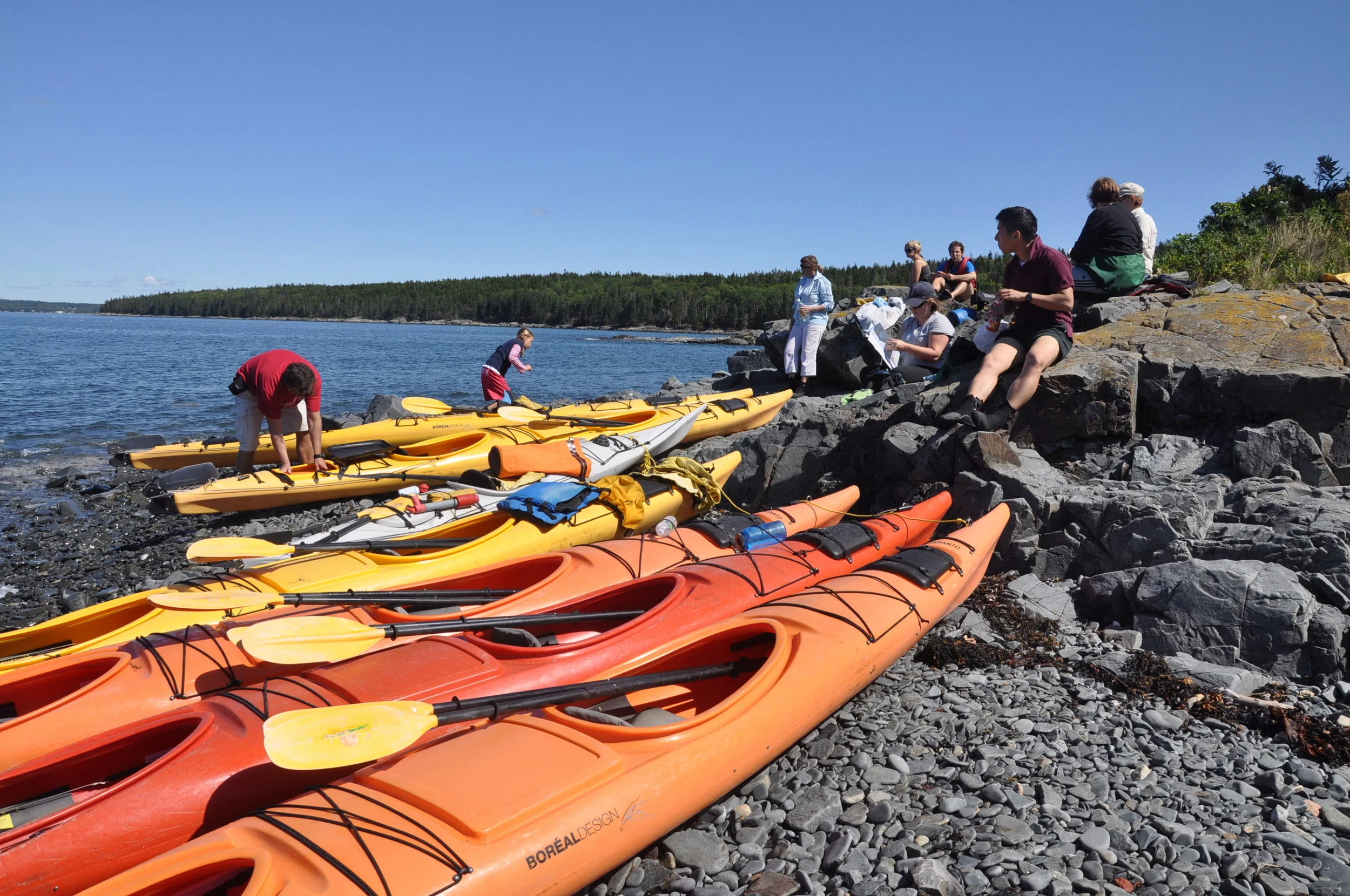 Kayaks — Acadia Outfitters