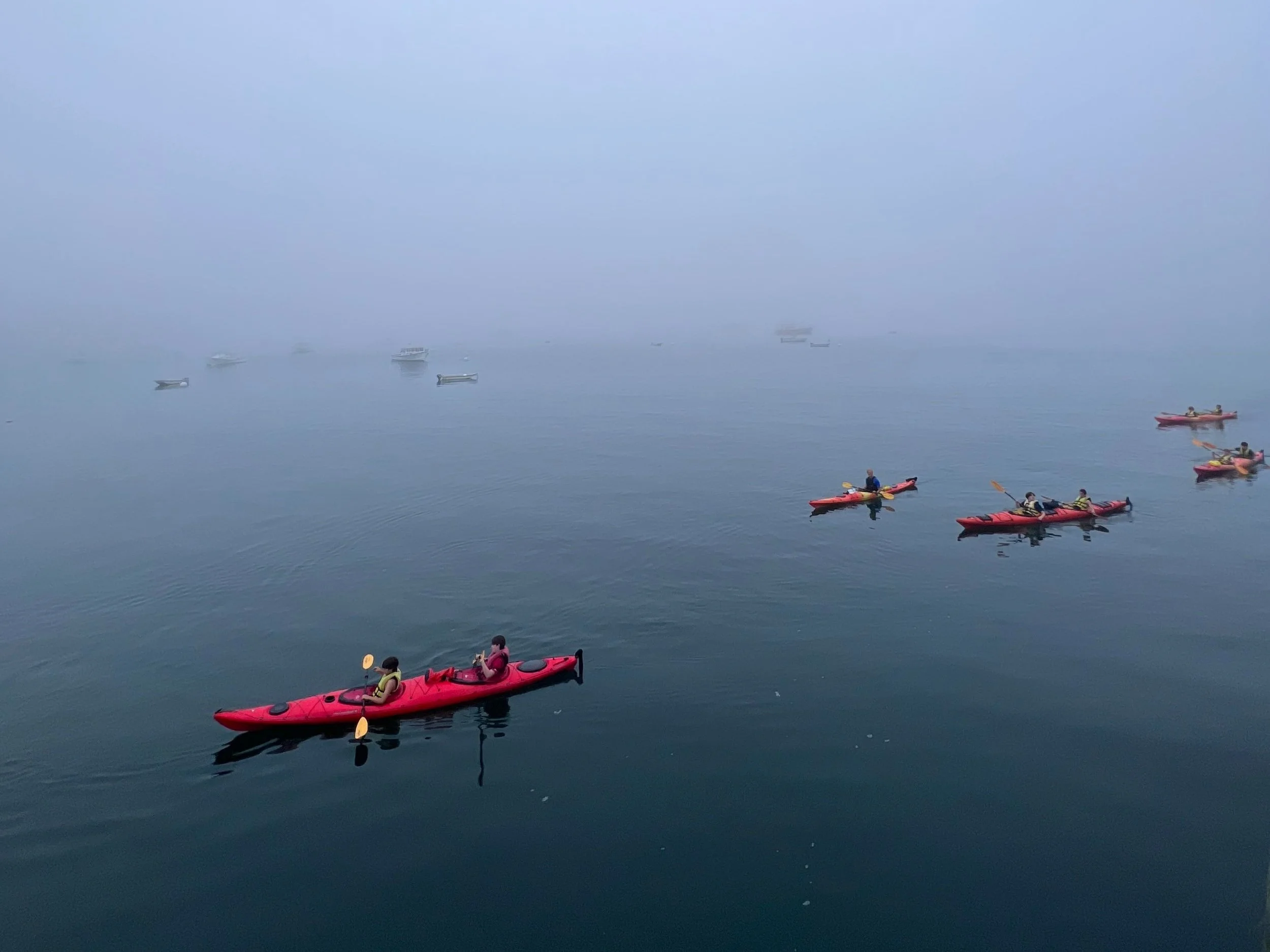 Sea Kayak Rentals — Acadia Outfitters