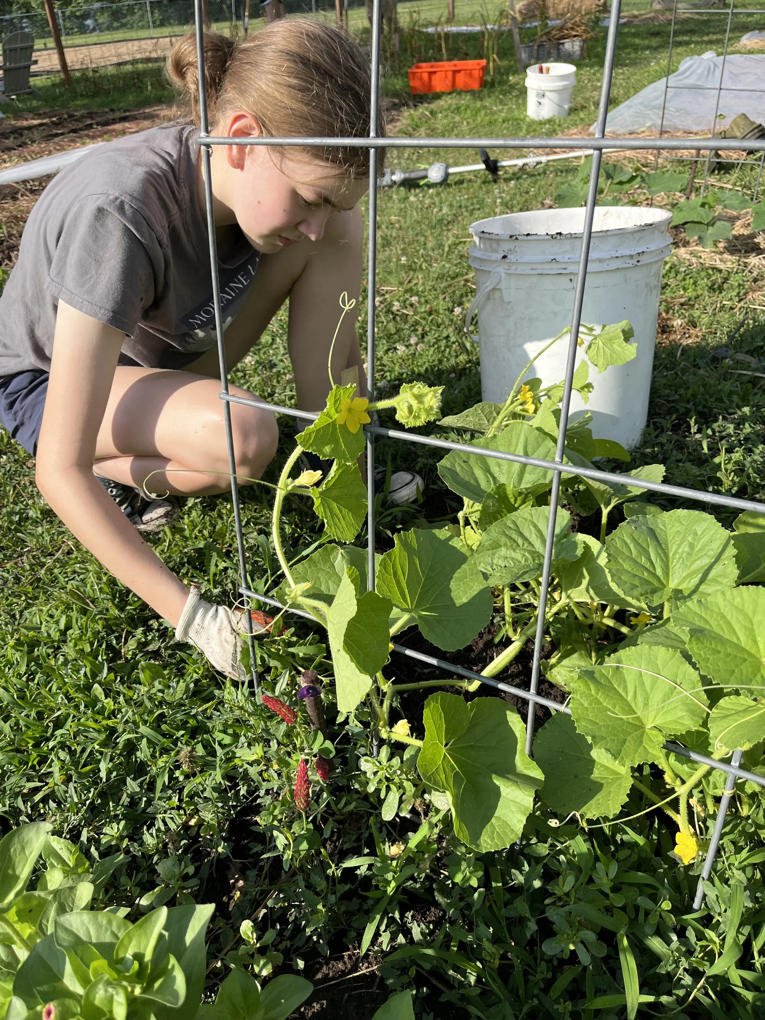 Eleanor gardening.jpeg