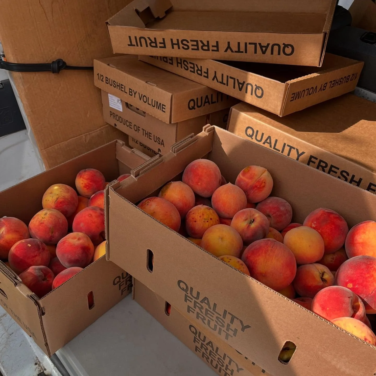 Wow!! We just came back from South Baldwin Farms where we picked up a huge donation for market tonight - 20 dozen ears of beautiful corn AND seven boxes of their peaches!!!! Such generosity is humbling and heartening - to know we’re all in this
