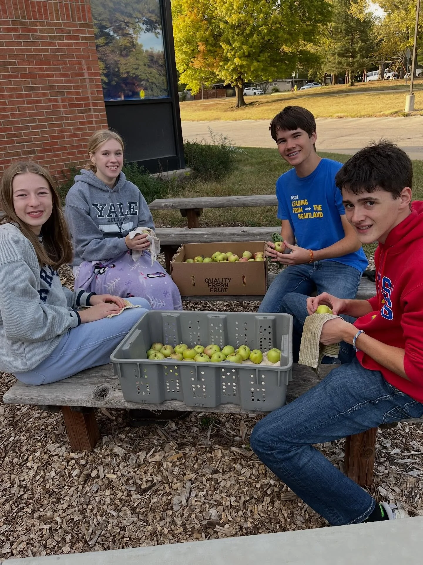 Our crew, on a crisp fall afternoon, sorting apples to bring to market, next Wednesday, October 29, at the Ballard Center. This will be our last market of the season, and it will be bountiful! Come by to pick up lots of fall veggies, including sweet