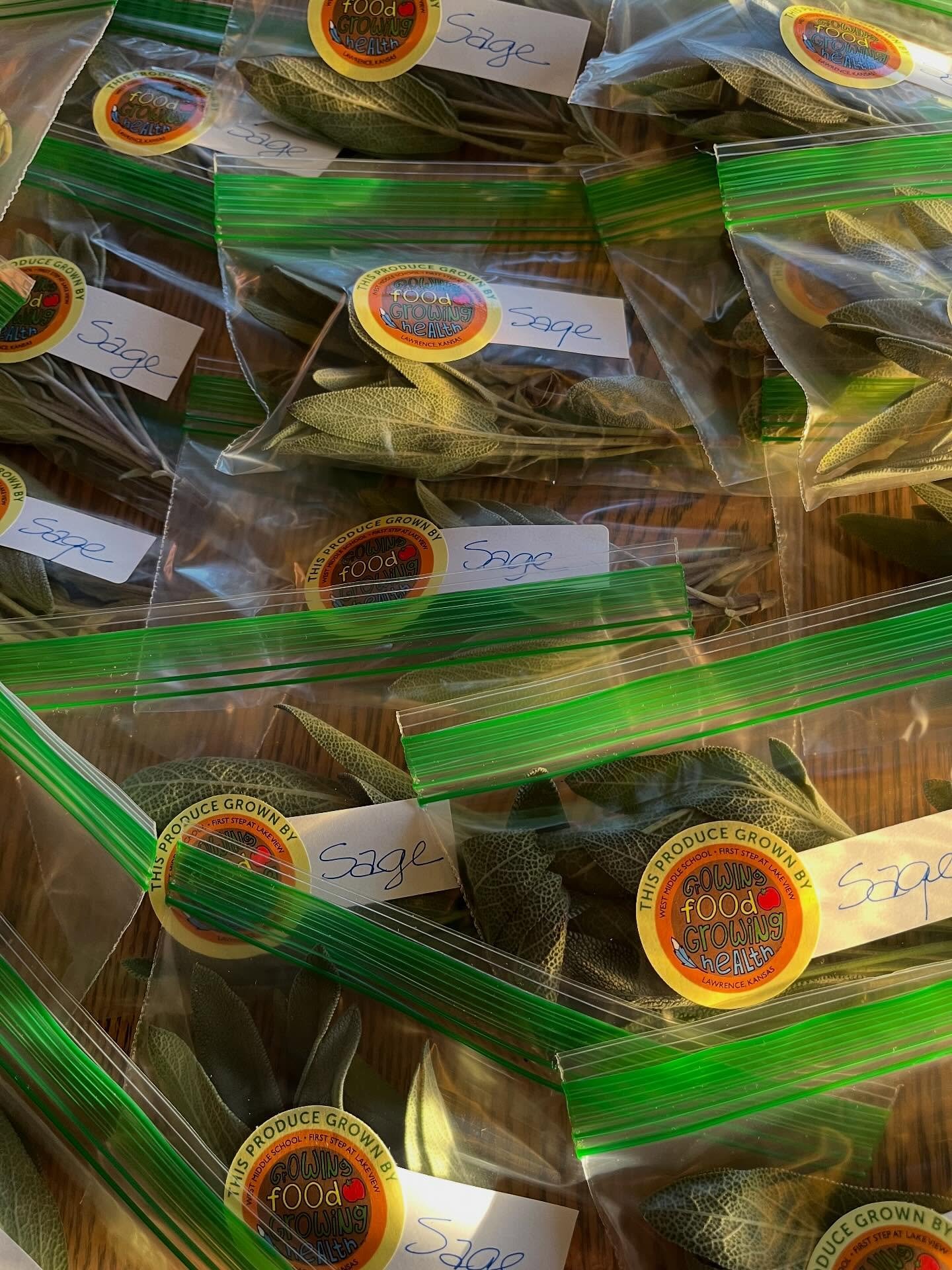 Just picked fresh sage from our garden. Heading to the Ballard Pantry tomorrow morning, along with Juniper Hill squash; Mellowfields sweet potatoes, celery and collard greens; potatoes and onions from the Merc Coop. We are thankful for community.