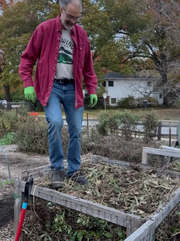 Today was unseasonably warm for November. Freezing temps are on the way early next week. We worked hard, taking advantage of the weather. Perry, our compost making master, was turning fall clean up waste into compost. Felix tilled and sowed cover cro