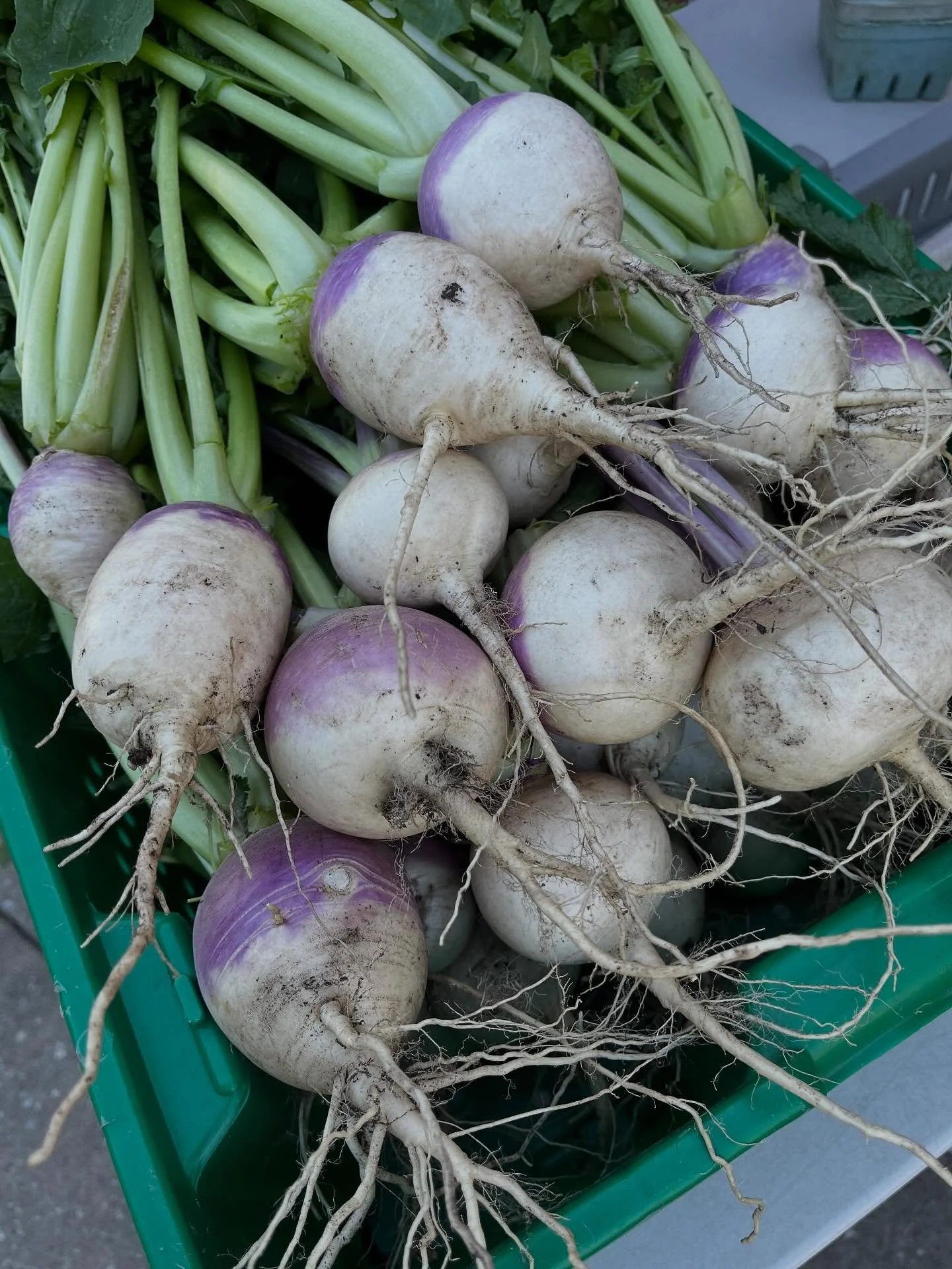 Yes, there will be market tomorrow, October 22, at Ballard Center from 4-6pm. In addition to tomatoes, lettuce, okra, greens, and beets, we&rsquo;ll have bags of baking apples AND SWEET POTATOES!!! 

This will be our next to last market. Final market