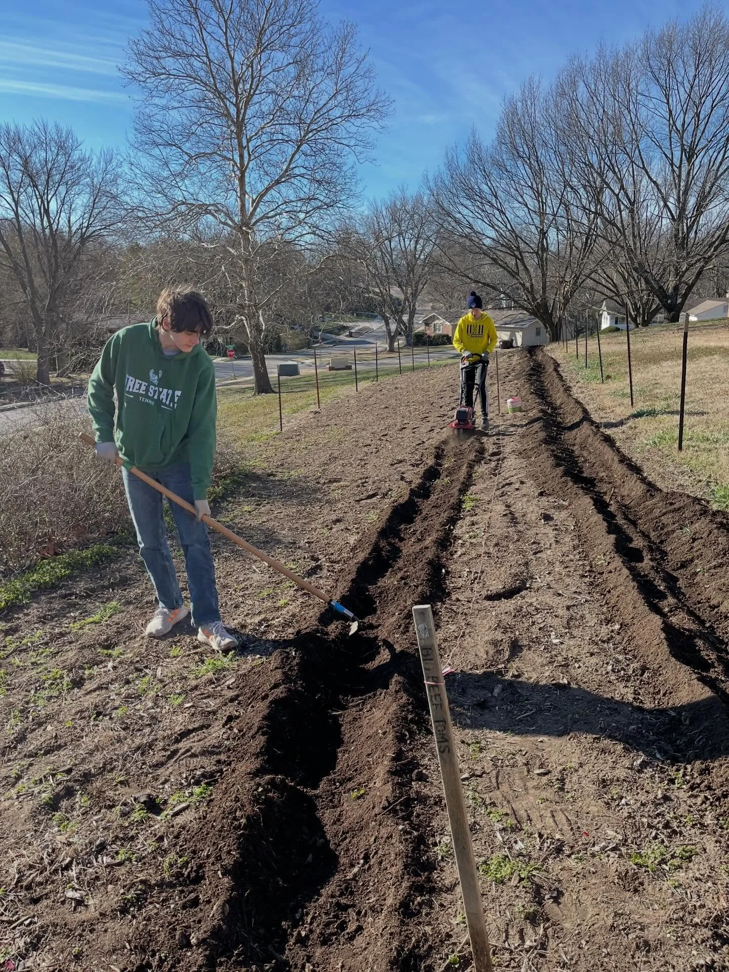 Spring break at the Growing Food Growing Health Garden with our hard working crew of Eamon, Felix and Perry. Spuds - we&rsquo;re ready to put you in the ground. 
🥔🥔🥔🥔🥔🥔🥔🥔🥔🥔