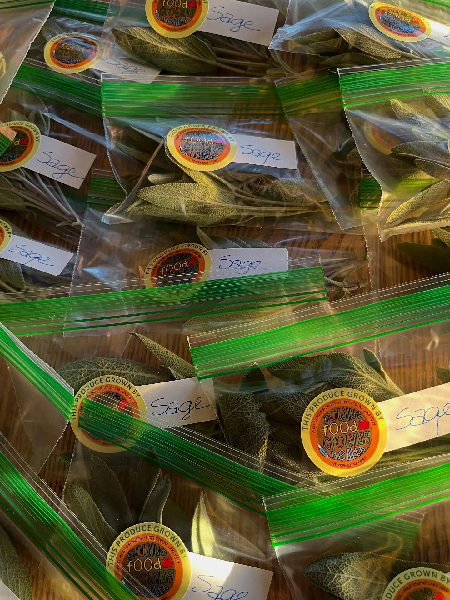 Just picked fresh sage from our garden. Heading to the Ballard Pantry tomorrow morning, along with Juniper Hill squash; Mellowfields sweet potatoes, celery and collard greens; potatoes and onions from the Merc Coop. We are thankful for community.