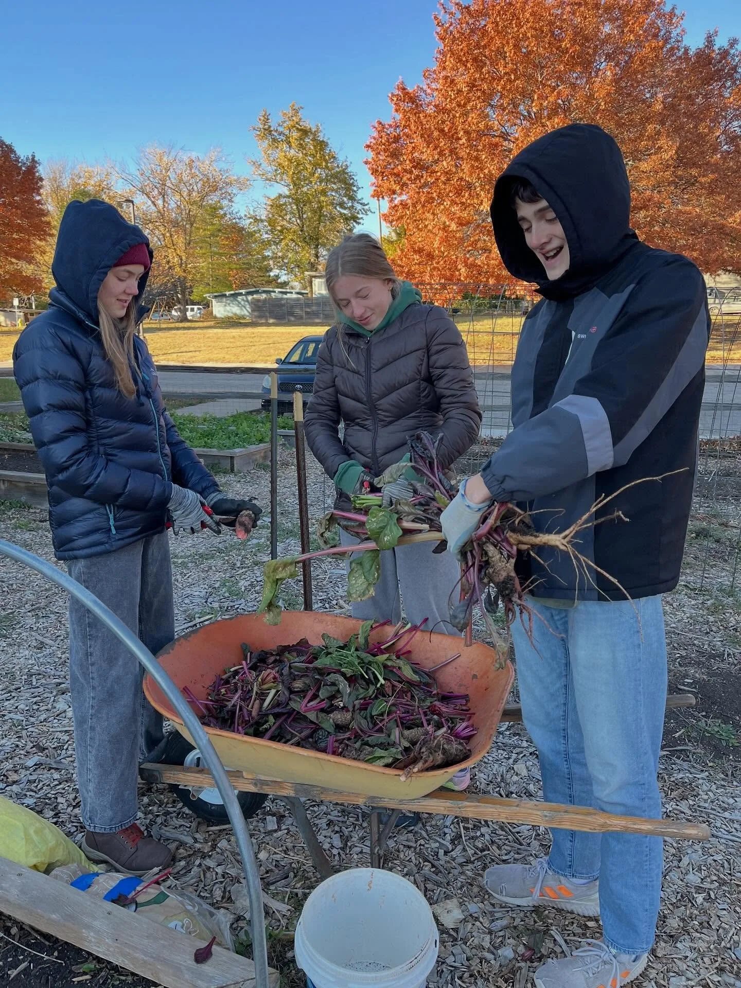 A chilly evening in the garden today. But these gardeners work on with great attitudes and a positive spirit. Thanks Elinor, Ellen, Felix, Perry and volunteer Ellen. Thanks also to Deb for treating for the hot chocolate that helped us get the work do