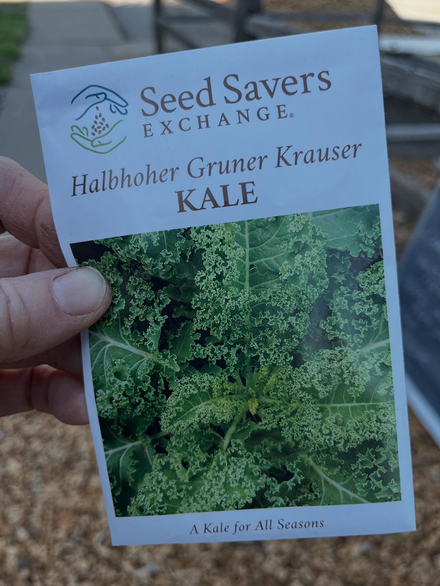 Our favorite kale. Our free market customers favorite kale. From one of our favorite seed companies. Seeds available in Lawrence at one of our favorite stores, the Merc Co+op. In the ground today. Love all around. ❤️🌱