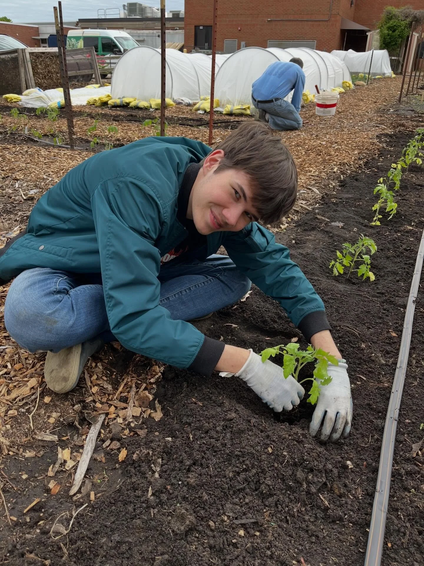 Thank you to our friends at Mellowfields Farm for growing such beautiful tomato starts for us. We picked them up this afternoon and had them in the ground two hours later. We know it&rsquo;s a little cool these next couple of nights but we just didn&