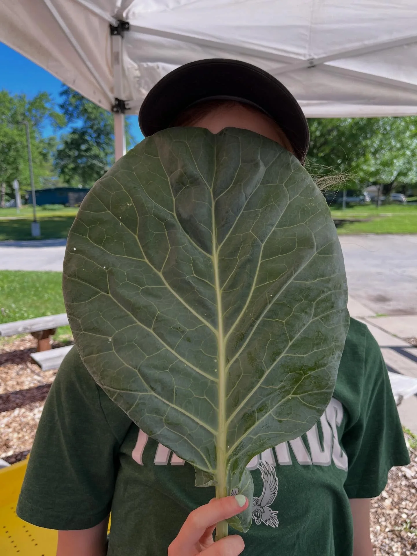 We can hardly wait to see you, next Wednesday, May 27, 4-6pm, outside the Ballard Center Pantry Annex. We&rsquo;re kicking off the Growing Food Growing Health season with a FREE MARKET. We&rsquo;ll have live music, giveaways, community love. See you 