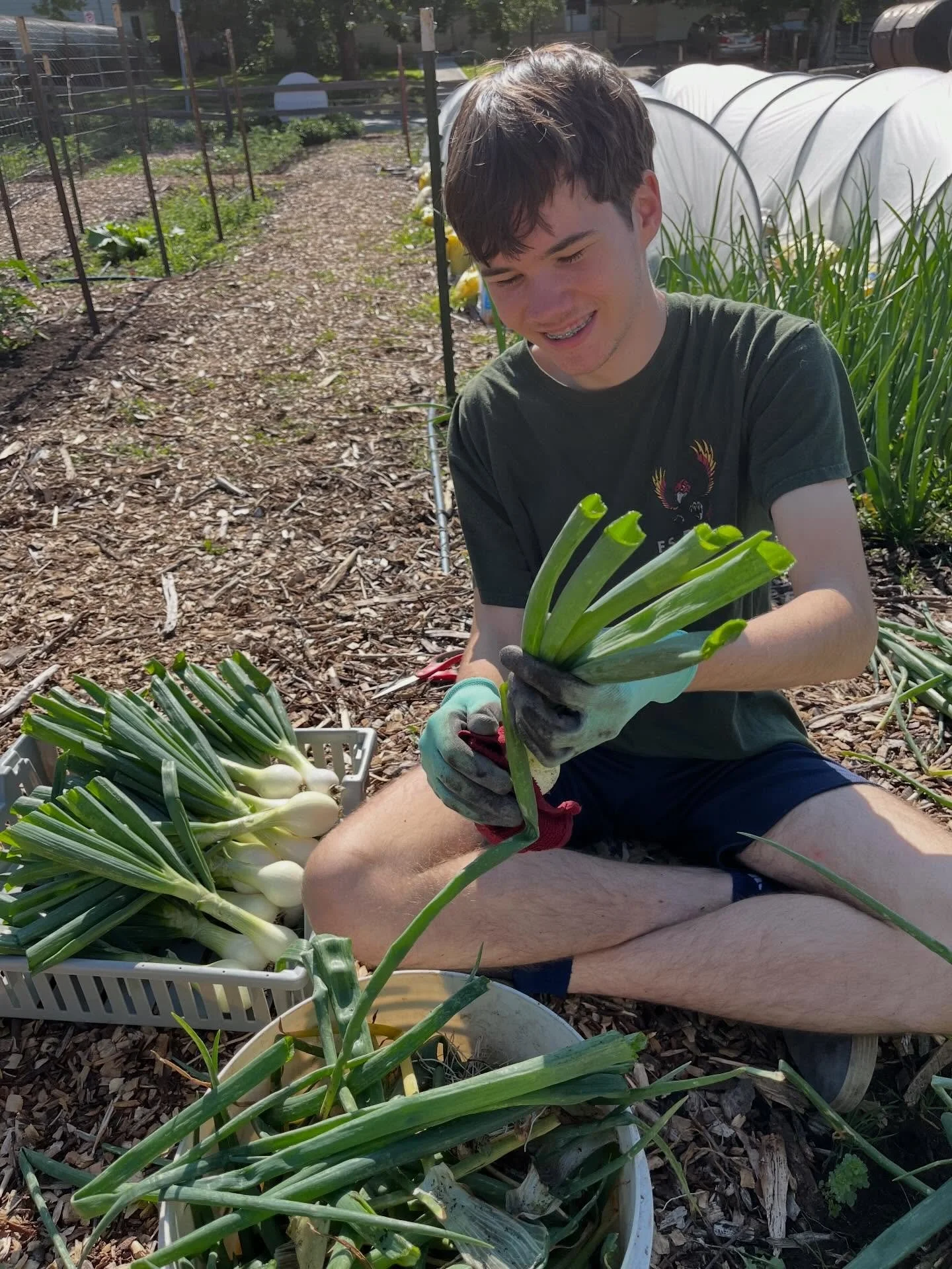 We&rsquo;re working for you on Memorial Day, getting ready for our season kick off Free Market. Come see us this Wednesday, May 27, 4-6pm, outside the Ballard Center Pantry Annex. We&rsquo;ll have this beautiful produce to share. Our friends from Law
