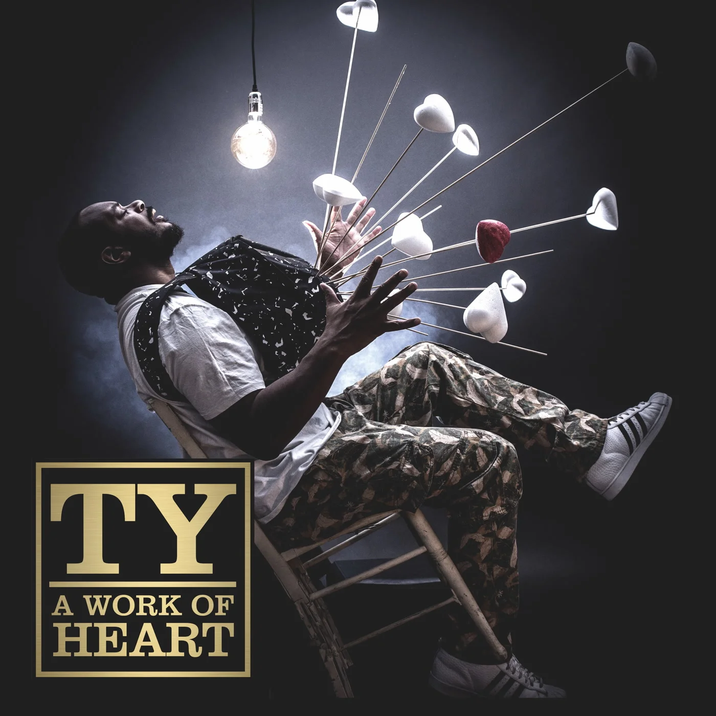Review: Ty - A Work Of Heart