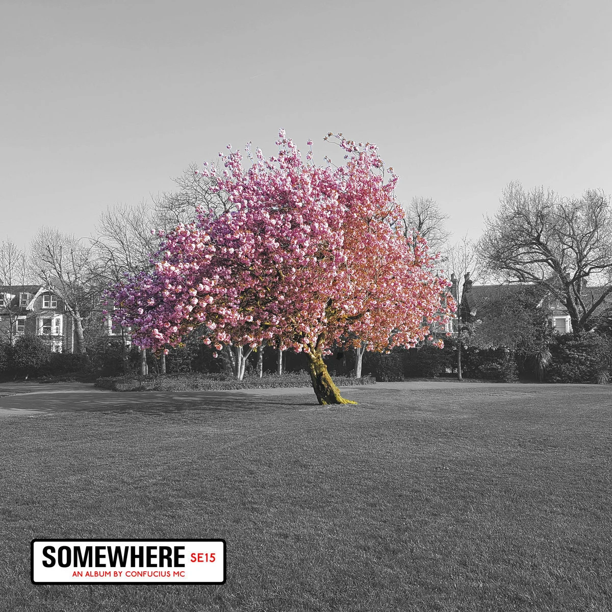 Confucius MC - Somewhere (Album)