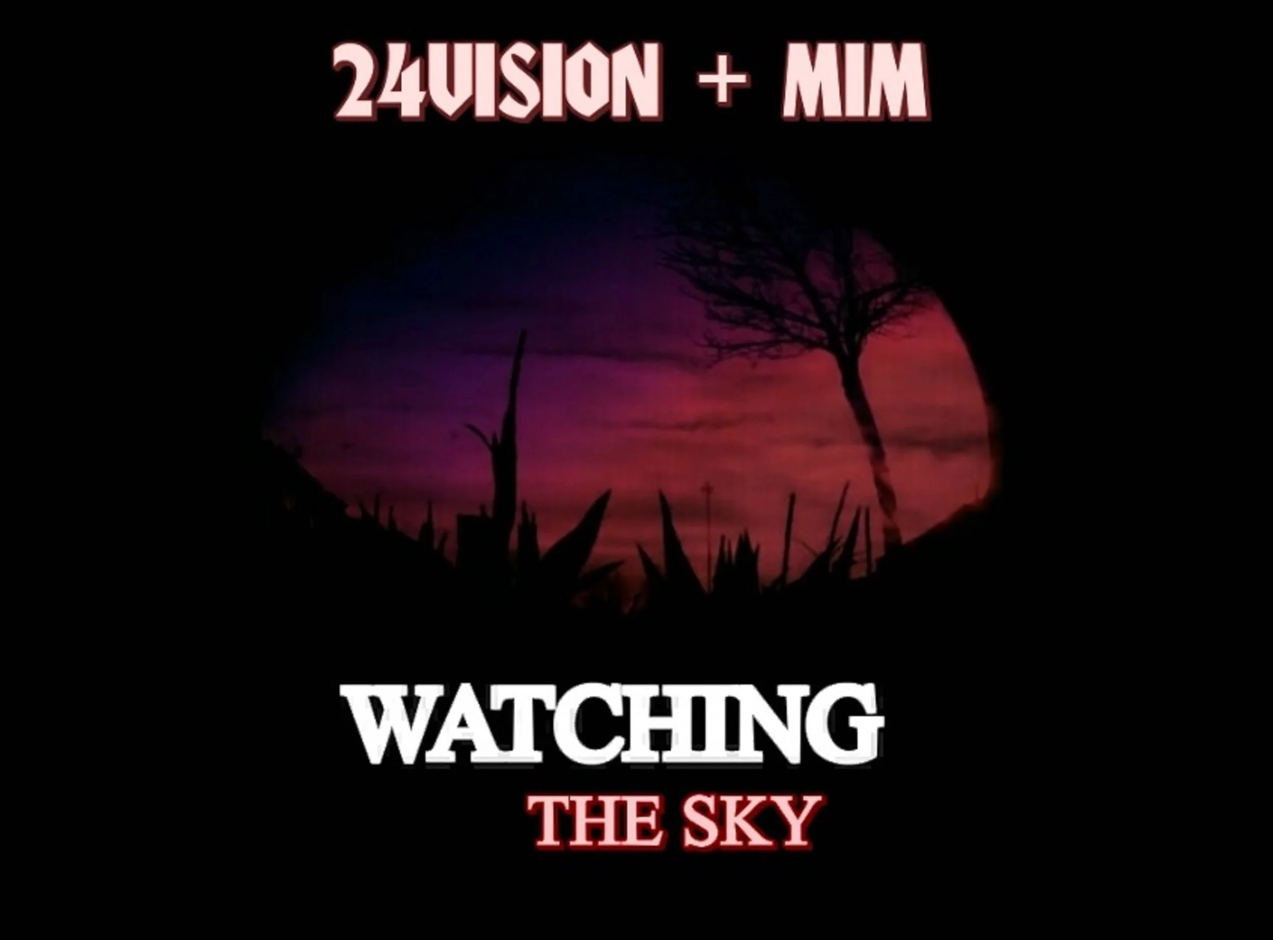 24Vision + MIM - watching the sky (EP)