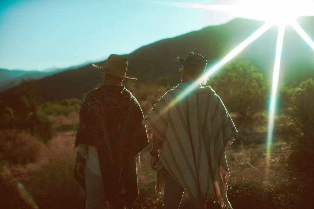  DARK BARDO - Wild Thought (Official Video)